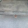 Receiver Hitch
