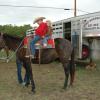 Click to Enlarge
Maude - Black Mare Mule
