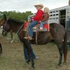 Click to Enlarge
Maude - Black Mare Mule