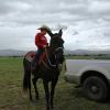 Click to Enlarge
Maude - Black Mare Mule