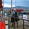 Click to Enlarge
Maude - Black Mare Mule