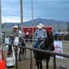 Click to Enlarge
Maude - Black Mare Mule